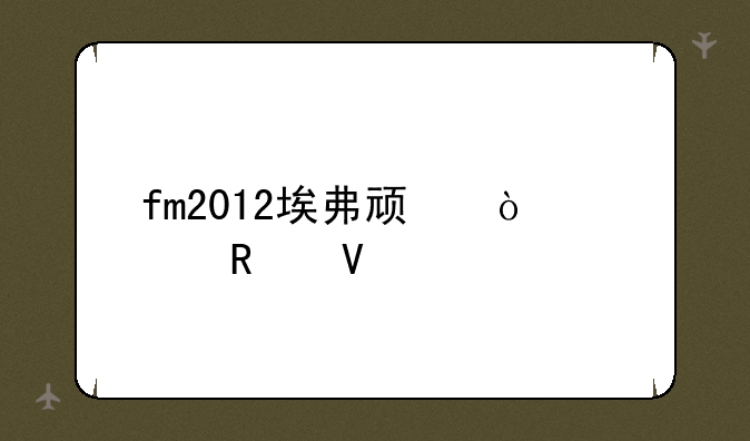 fm2012埃弗顿开档攻略