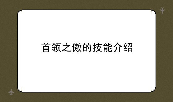 首领之傲的技能介绍