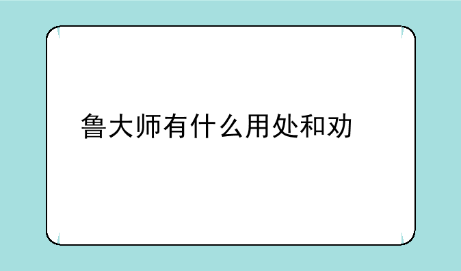 鲁大师有什么用处和功能