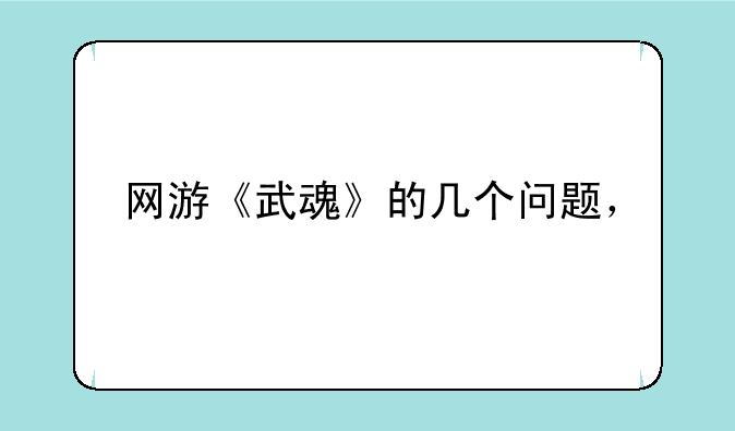 网游《武魂》的几个问题，