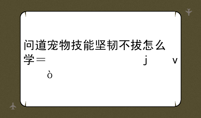 问道宠物技能坚韧不拔怎么学？详细的来！